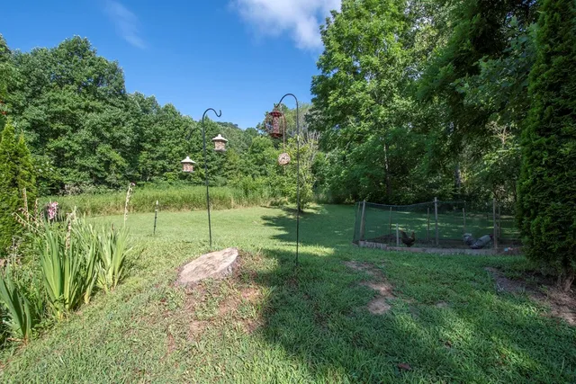 a backyard of a house with lots of green space