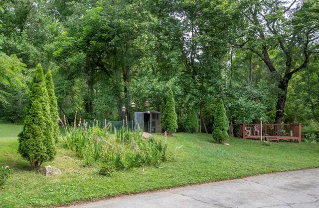 a view of backyard with green space