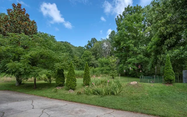 a view of a park with large trees
