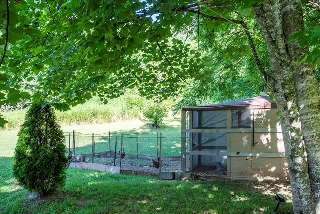 a view of a backyard
