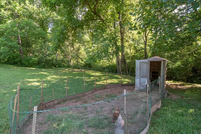 a view of a backyard with a garden
