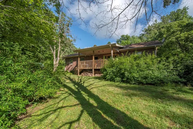 a view of a backyard with plants