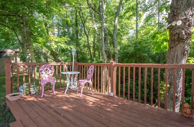 a view of a wooden deck under a large tree