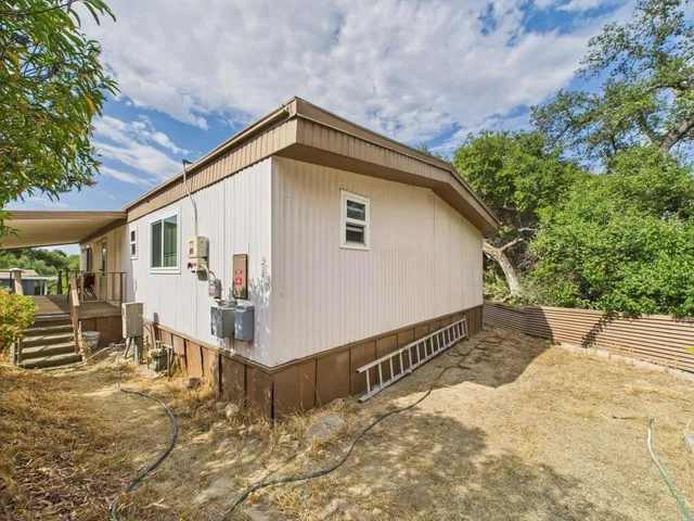 a view of a yard with plants and trees