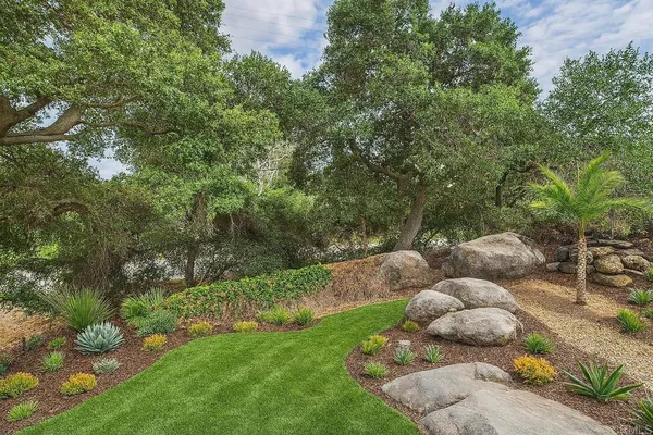 a backyard of a house with a yard and large tree