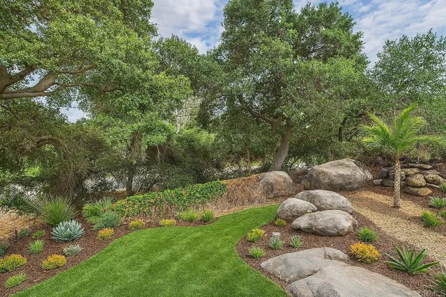 a backyard of a house with a yard and large tree