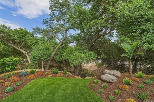 a view of a house with a yard and plant