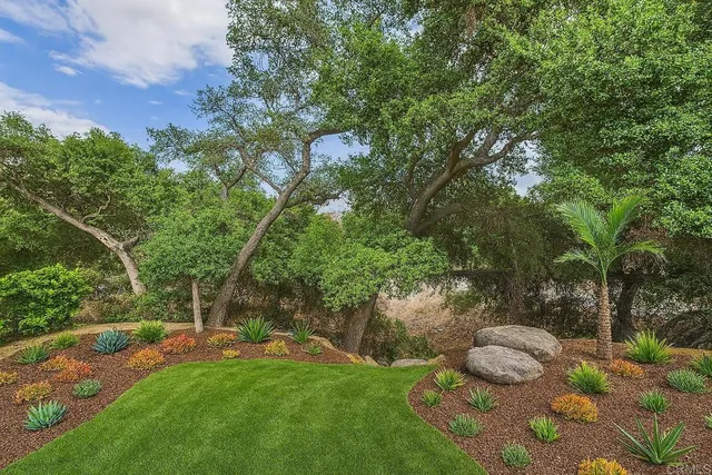 a view of a house with a yard and plant