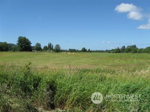 0 South Bank Road Oakville, WA 98568 - Photo 1 of 1 Gallery Image 1