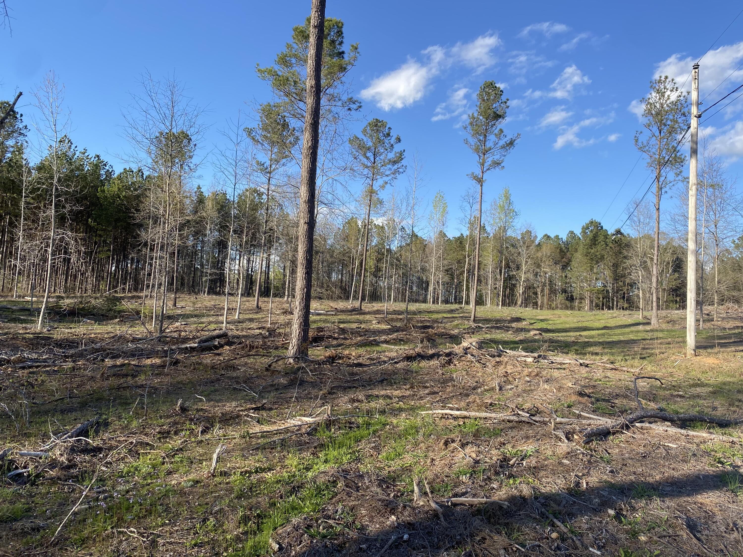 Five Old 5 Notch Road Edgefield, SC 29824 - Photo 2 of 4