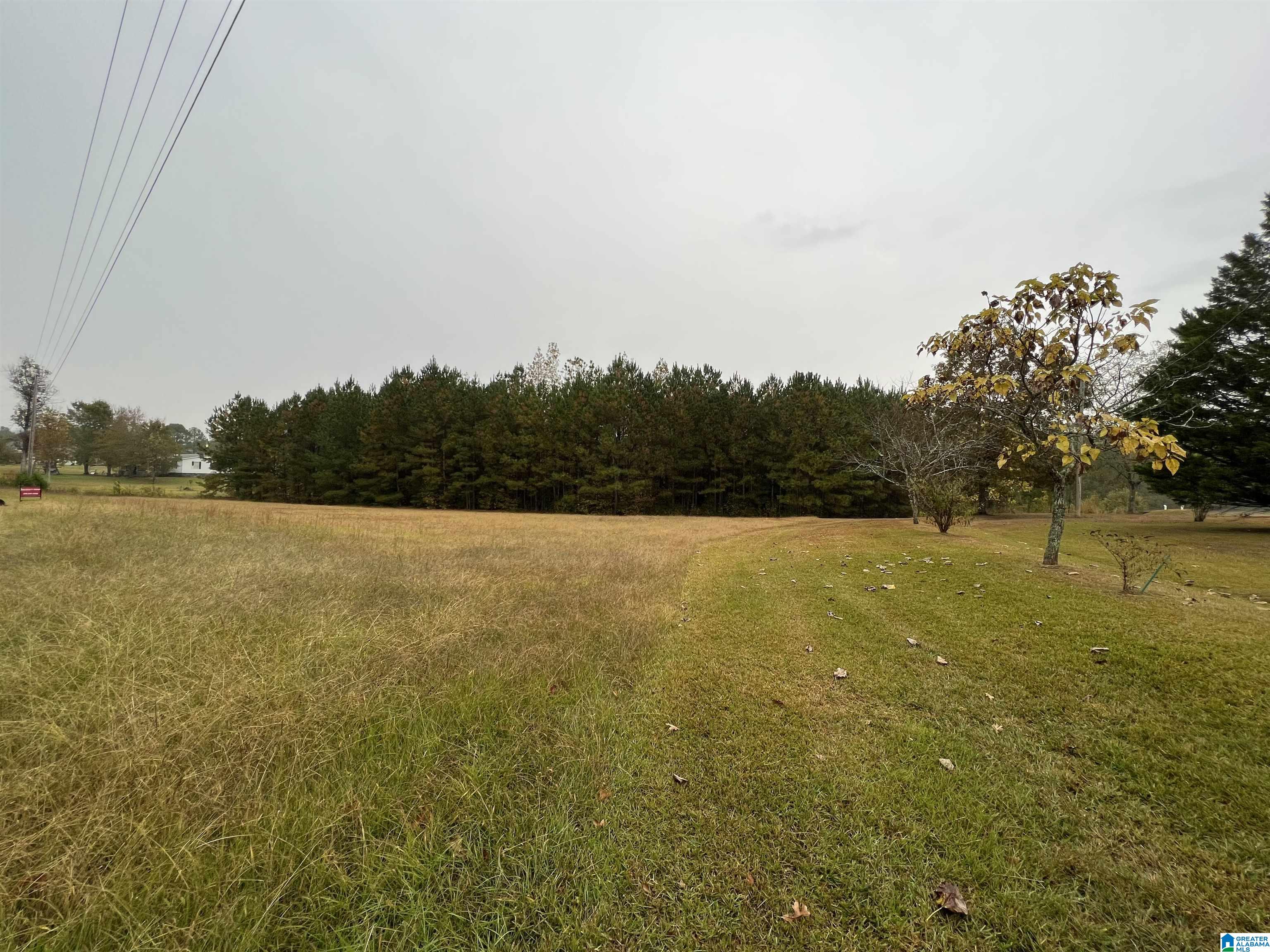 1492 Websters Chapel Road Wellington, AL 36279 - Photo 1 of 3
