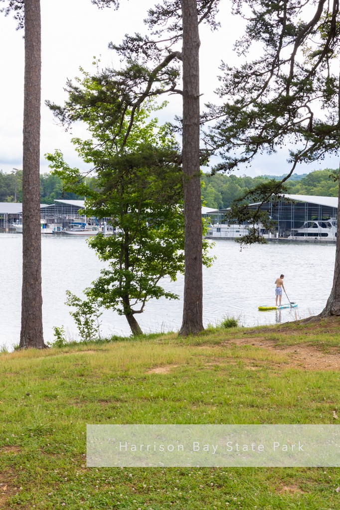 11249 Possum Trail Road Harrison, TN 37341 - Photo 50 of 51 Gallery Image 50
