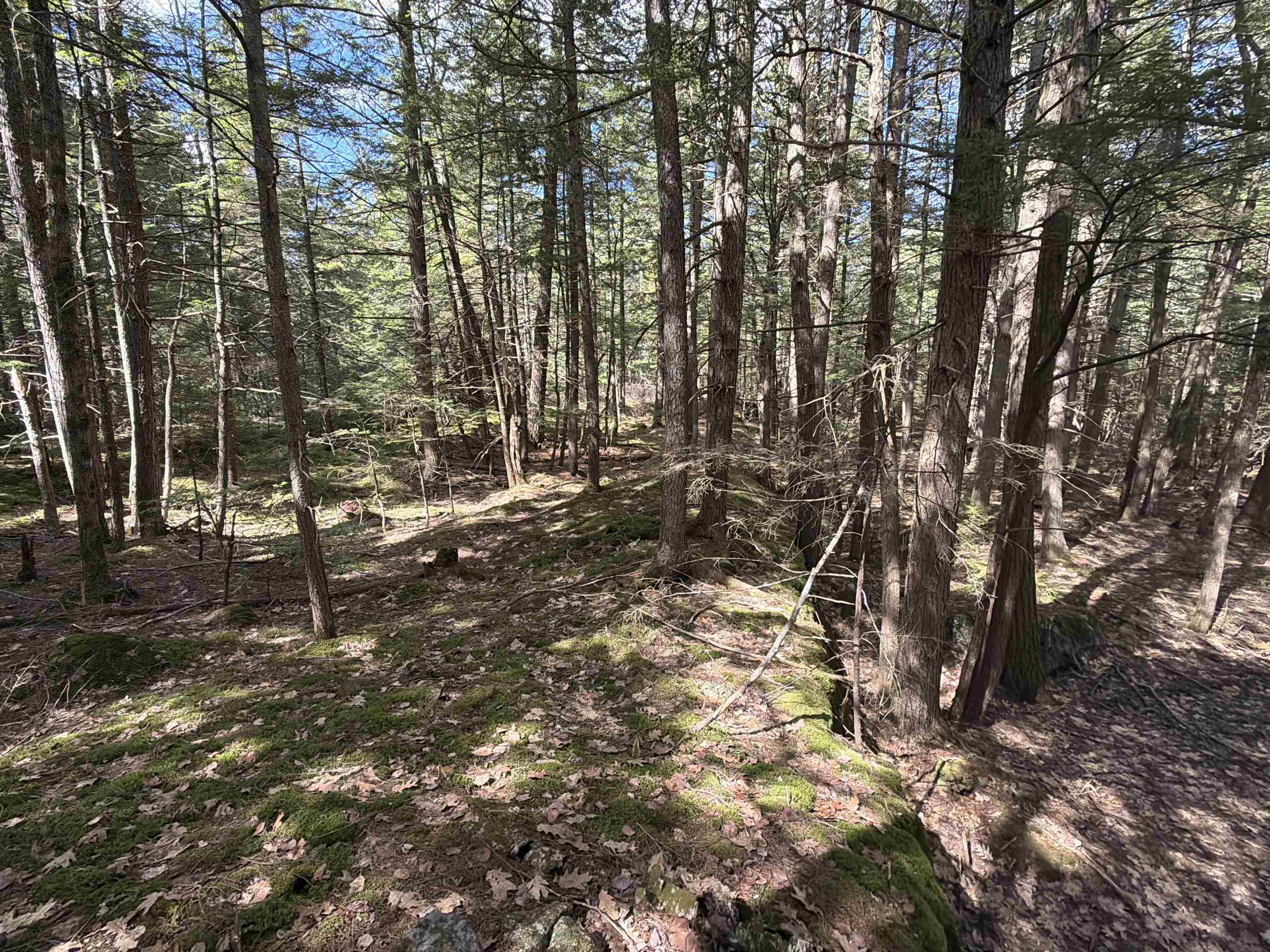 R29-l9 Roxbury Road, Unit LOT 9 Meredith, NH 03253 - Photo 34 of 36