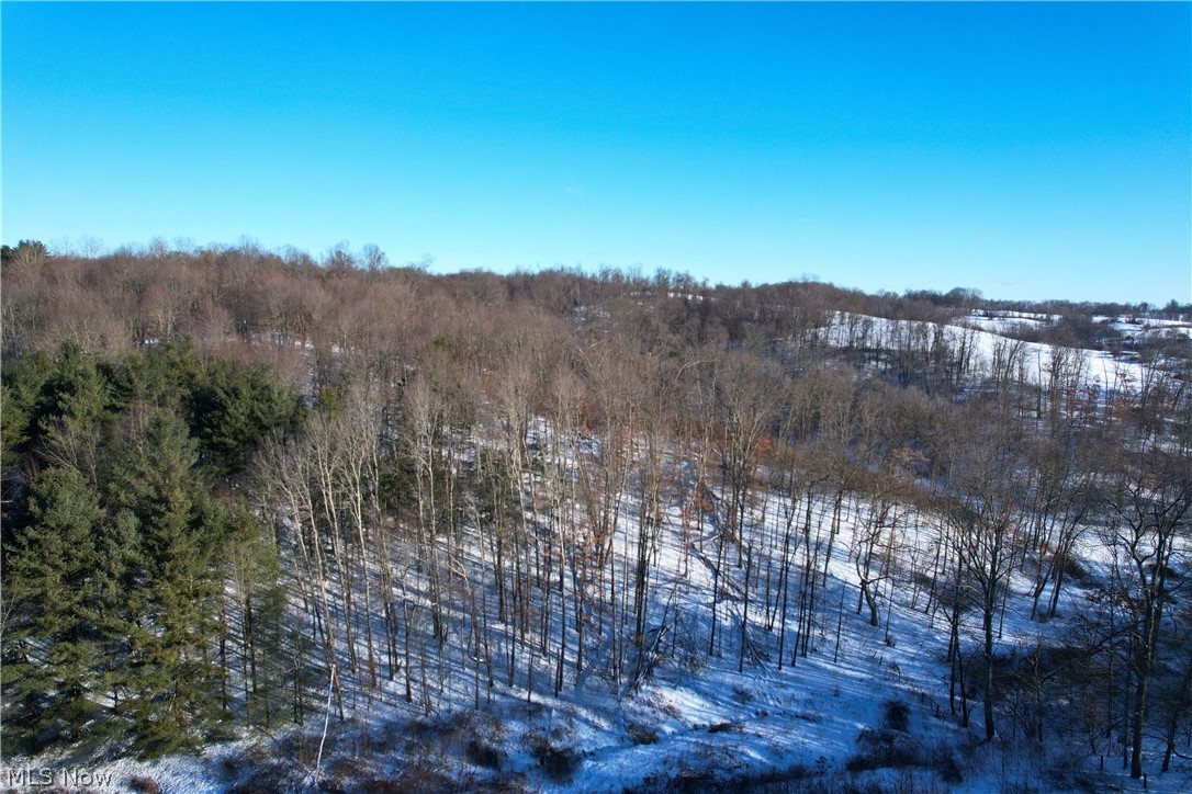 Fostor Road Dresden, OH 43821 - Photo 19 of 25 View of woods