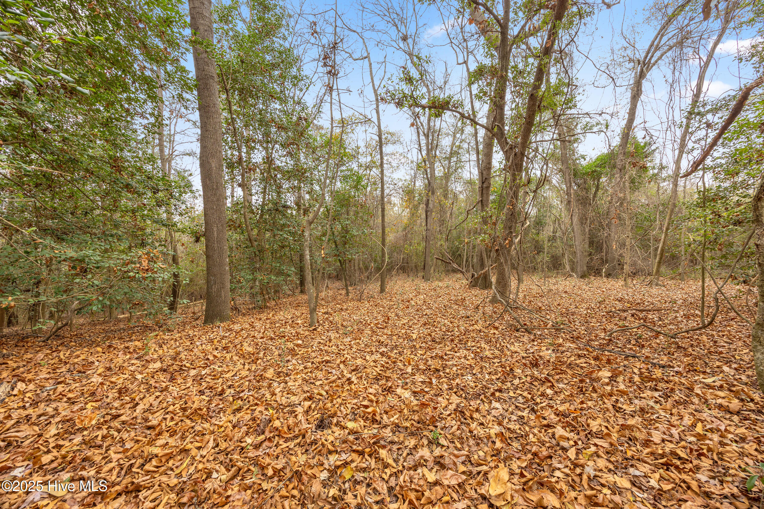 0 Gaddy's Mill Road Maxton, NC 28364 - Photo 19 of 24 19