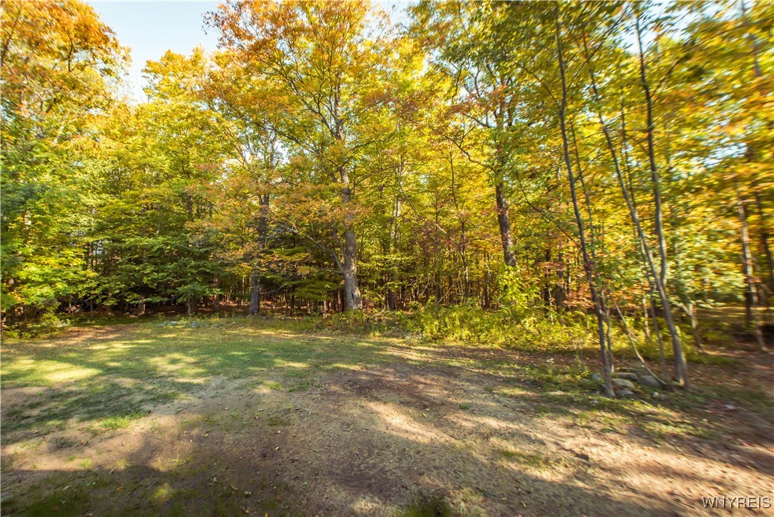 11872 Carpenter Road Wales, NY 14139 - Photo 47 of 49