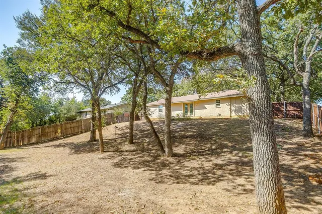 a tree in the middle of a yard