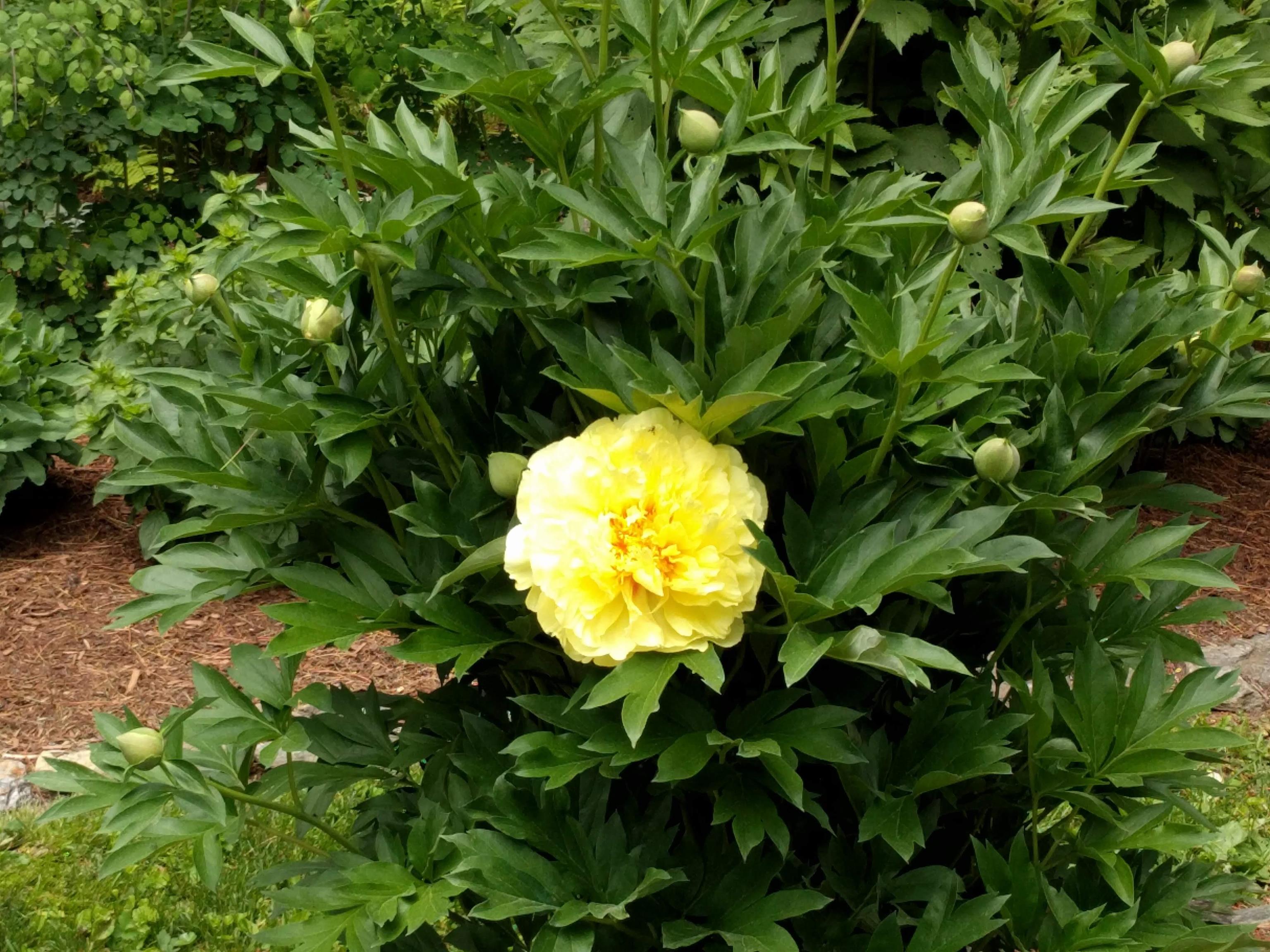 455 Hawk Pine Road Norwich, VT 05055 - Photo 15 of 51