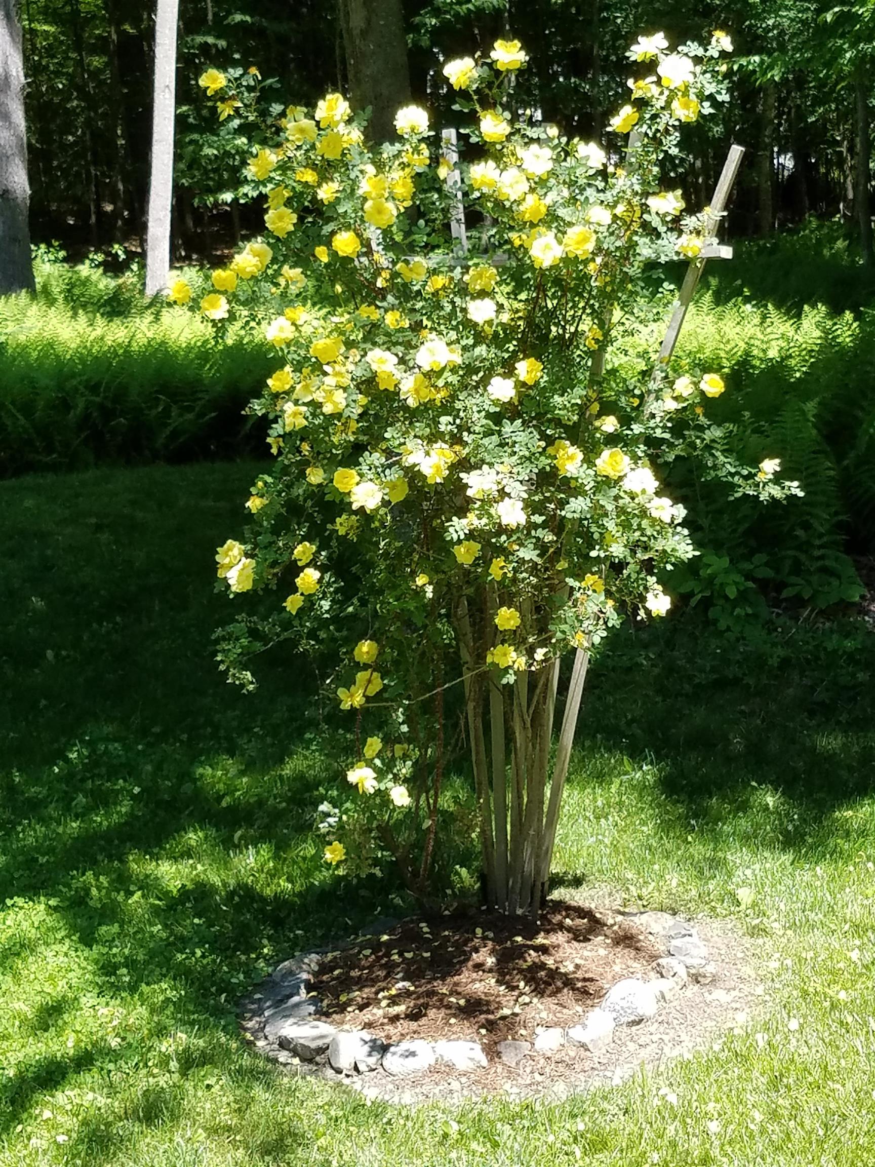 455 Hawk Pine Road Norwich, VT 05055 - Photo 41 of 51