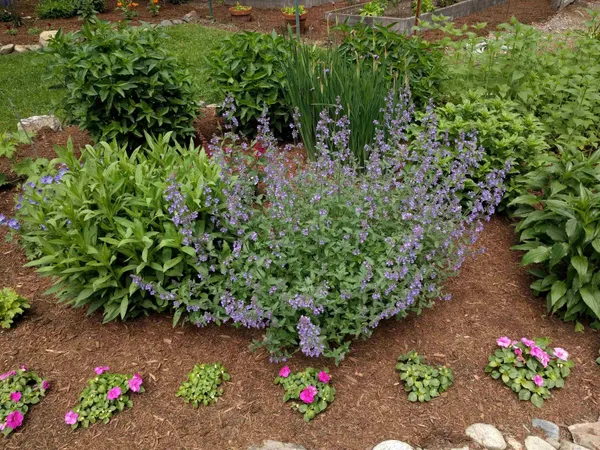 $719,000 | 455 Hawk Pine Road, Norwich, VT 05055