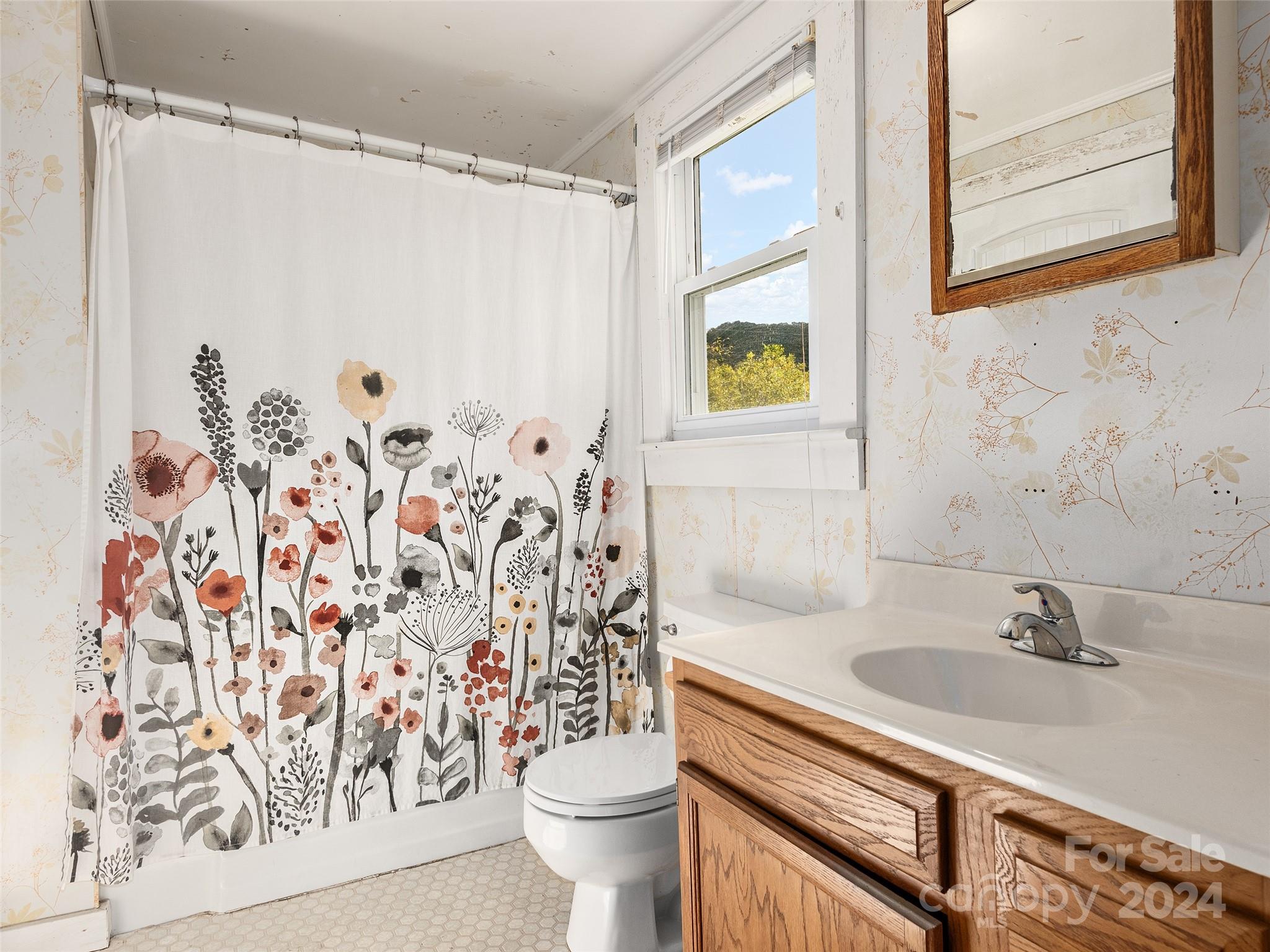 1426 Poison Cove Road Clyde, NC 28721 - Photo 10 of 12 a bathroom with a sink and a toilet