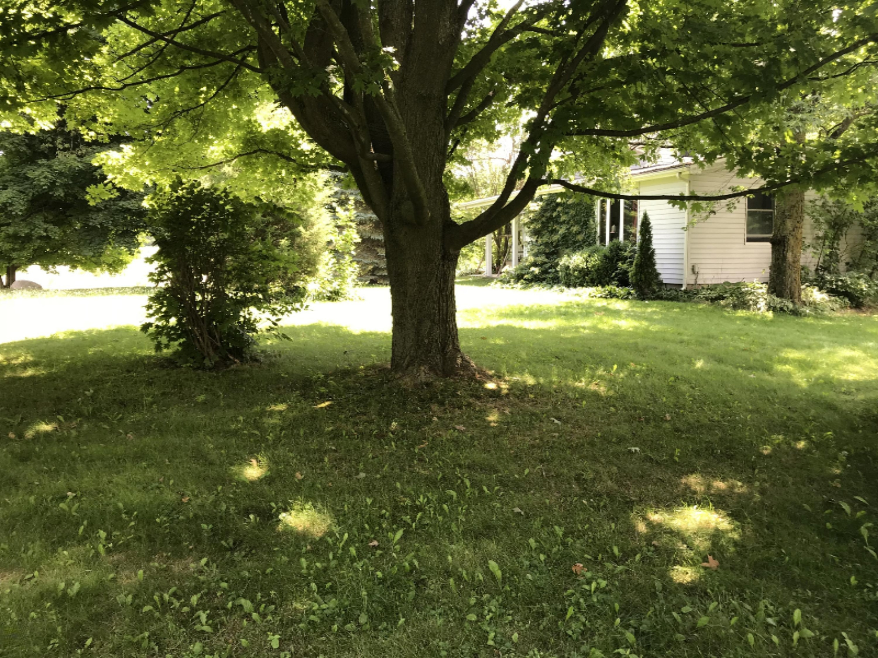 8051 Beecher Road Pittsford, MI 49271 - Photo 35 of 37 IMG_0191