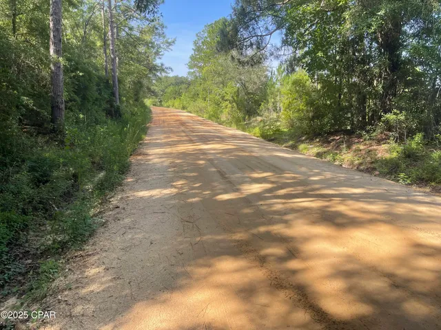 $56,500 | 0 North Holmes Creek Road, Graceville, FL 32440