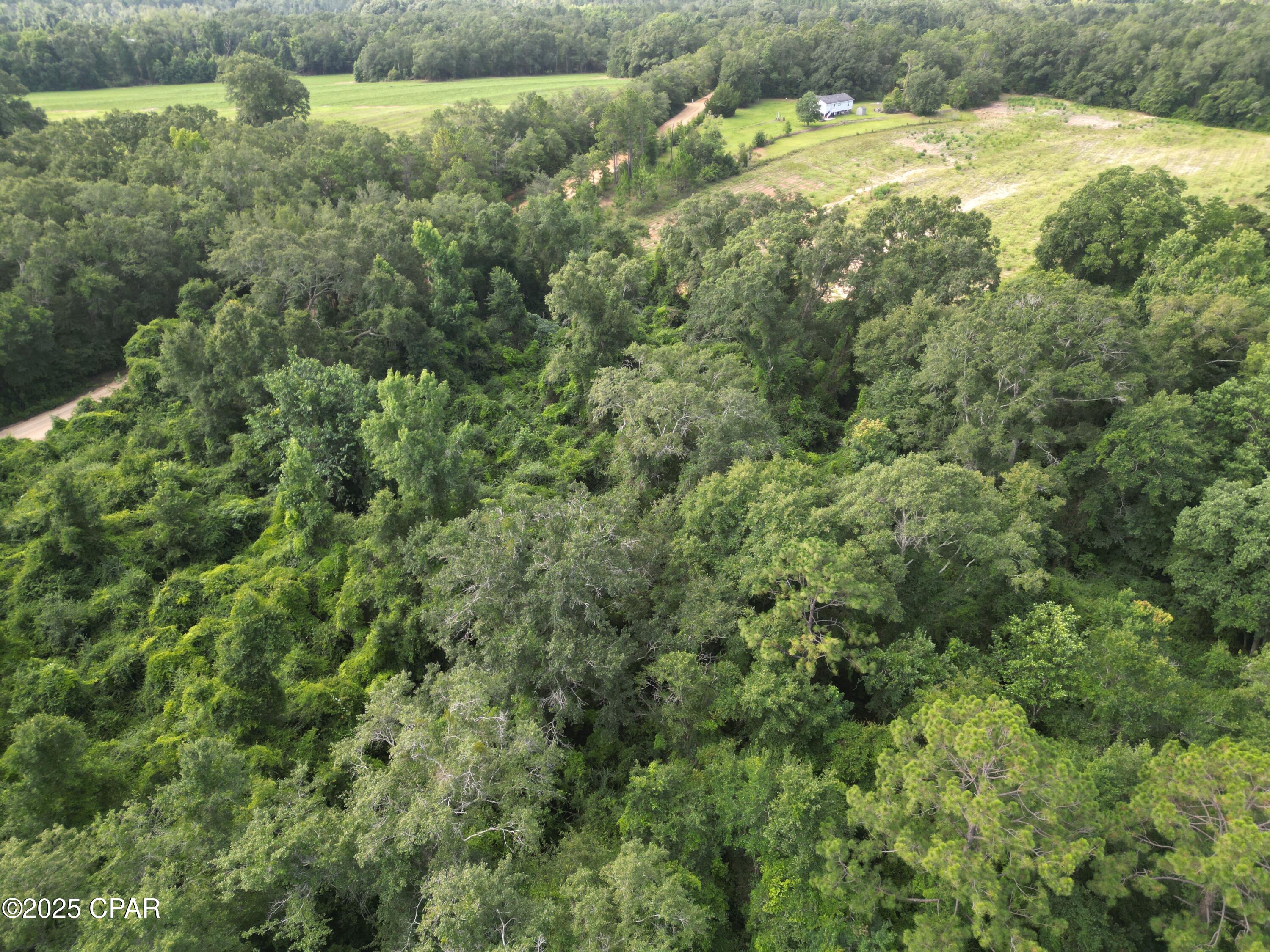 0 North Holmes Creek Road Graceville, FL 32440 - Photo 2 of 16