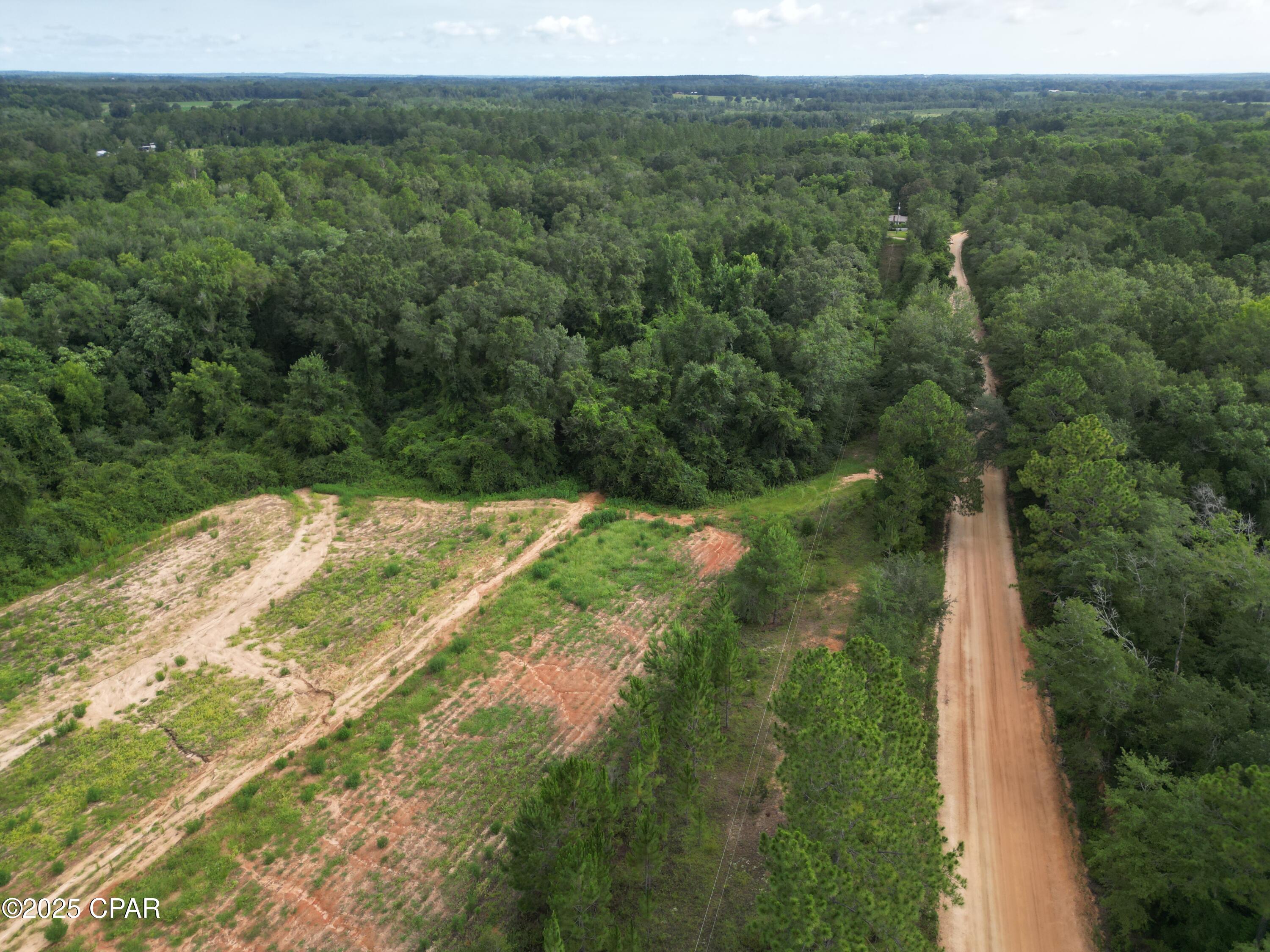 0 North Holmes Creek Road Graceville, FL 32440 - Photo 4 of 16