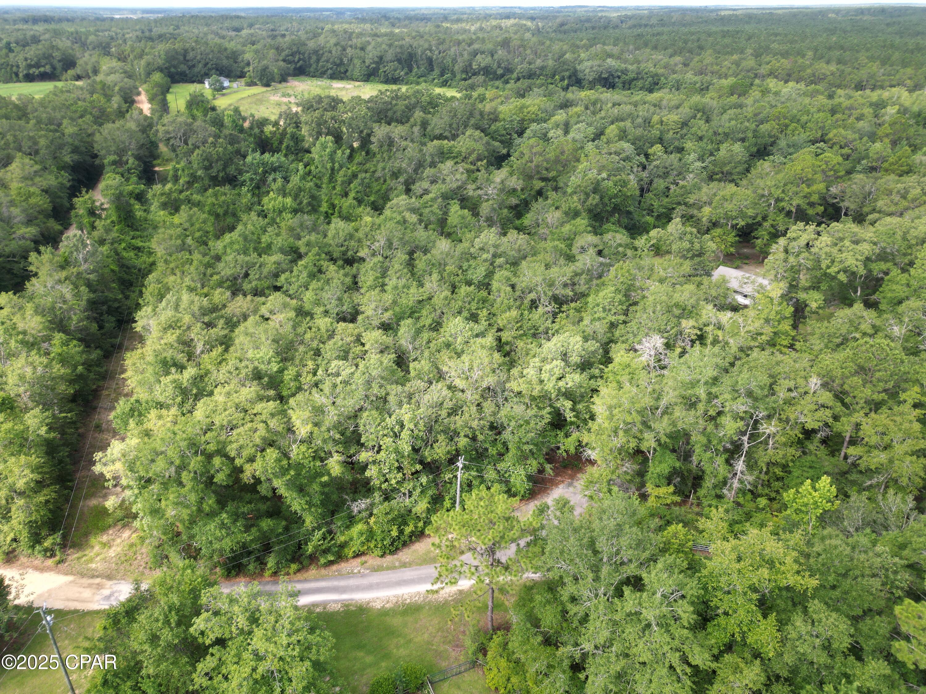 0 North Holmes Creek Road Graceville, FL 32440 - Photo 5 of 16