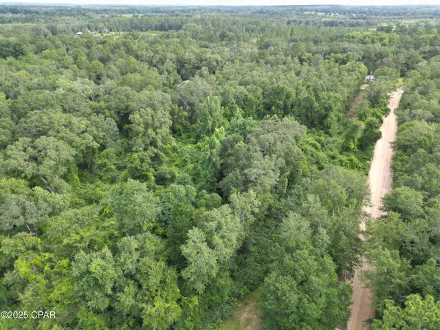 $56,500 | 0 North Holmes Creek Road, Graceville, FL 32440