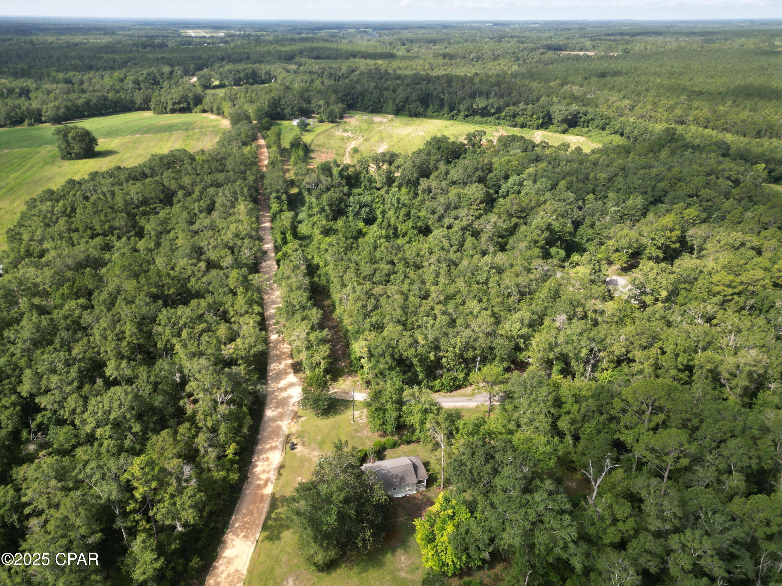 0 North Holmes Creek Road Graceville, FL 32440 - Photo 7 of 16