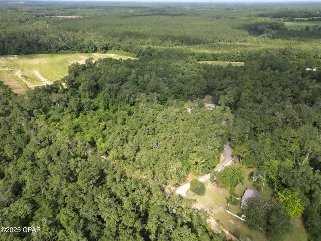 $56,500 | 0 North Holmes Creek Road, Graceville, FL 32440