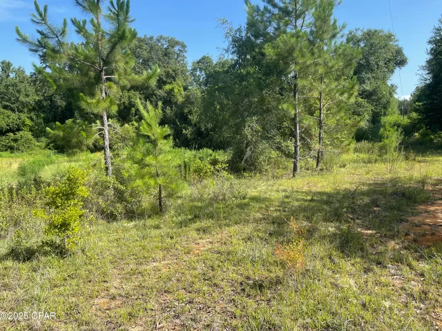 $56,500 | 0 North Holmes Creek Road, Graceville, FL 32440