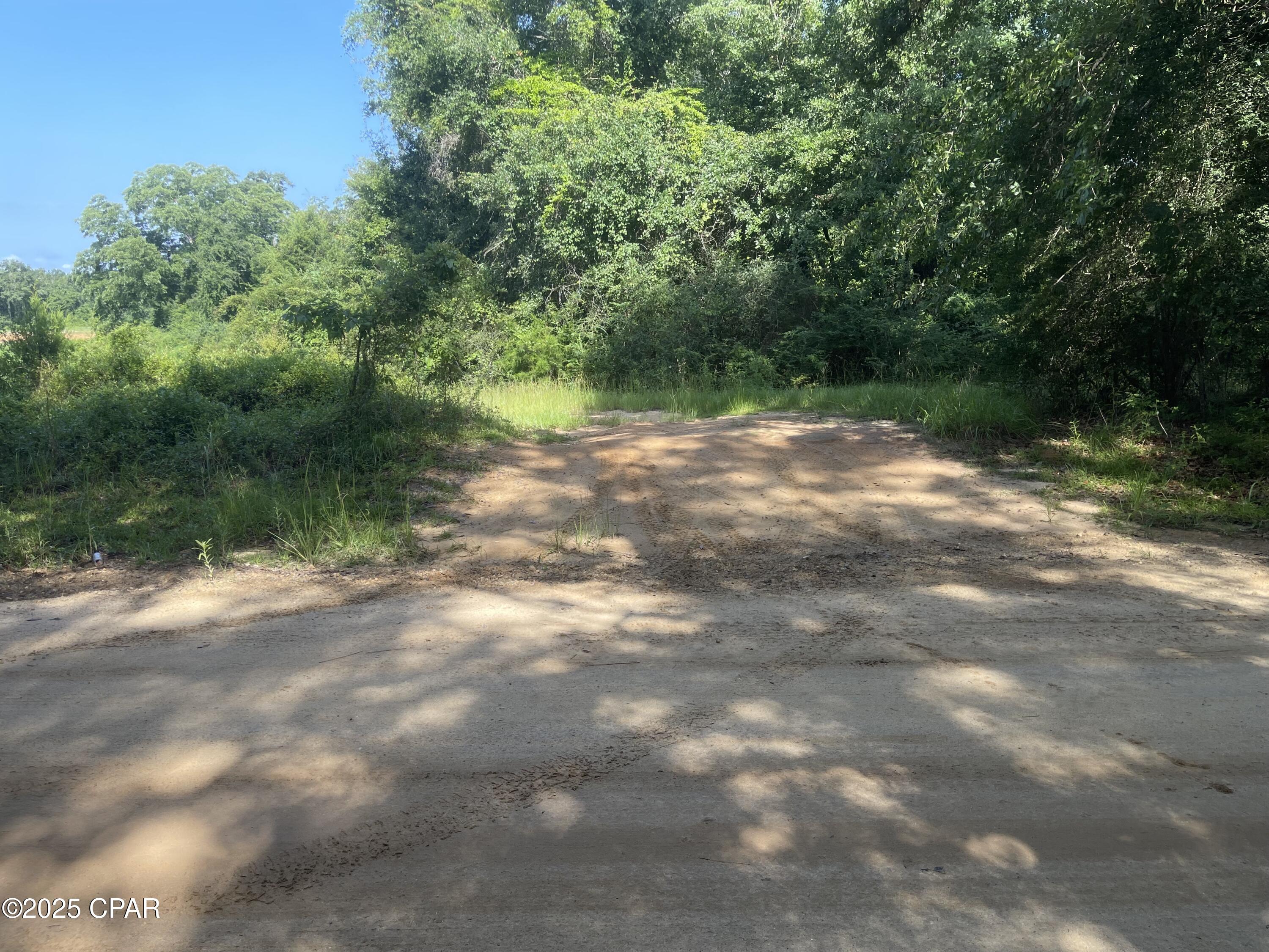 0 North Holmes Creek Road Graceville, FL 32440 - Photo 10 of 16