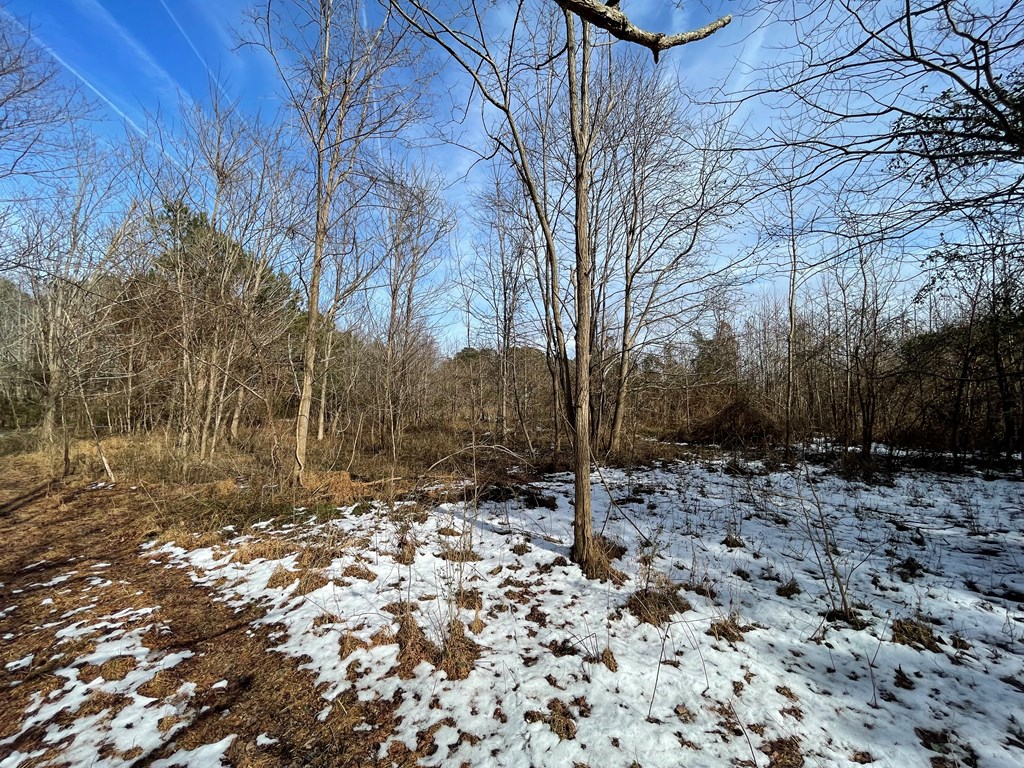 3.65 Old Neck Road, Unit 1 Weems, VA 22576 - Photo 13 of 35