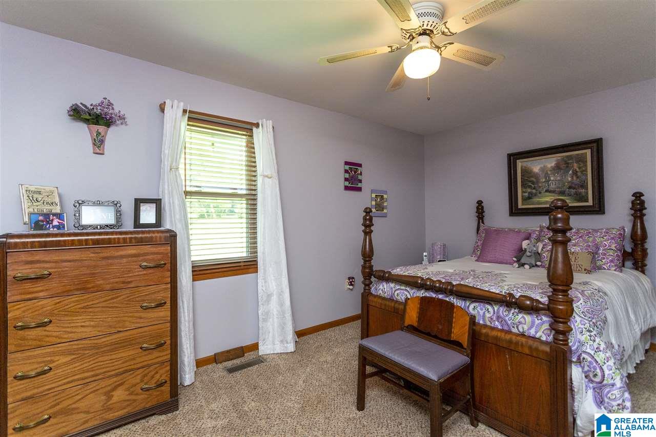 14183 Milldale Road Brookwood, AL 35444 - Photo 20 of 47