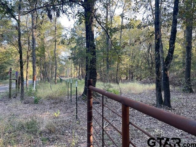 426 Willow Branch Road Lindale, TX 75771 - Photo 2 of 2 a view of a forest filled with trees