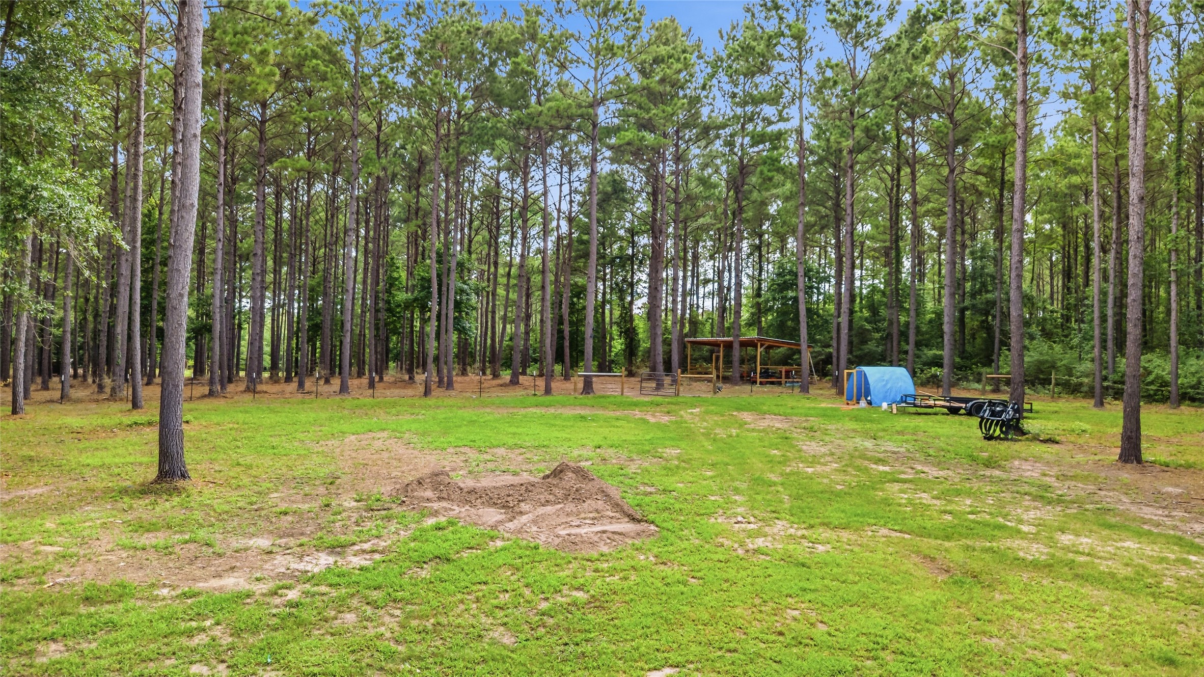 1780 Josserand Road Groveton, TX 75845 - Photo 12 of 42