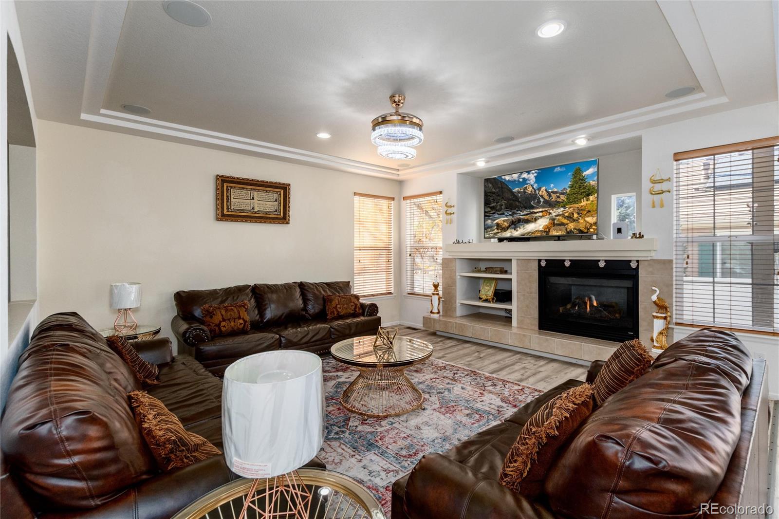 5293 Malaya Street Denver, CO 80249 - Photo 14 of 44 a living room with furniture a fireplace and a flat screen tv