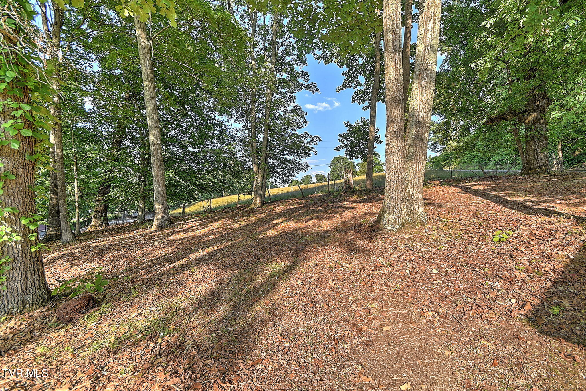 55 Short Road Chuckey, TN 37641 - Photo 44 of 73 44-web-or-mls-55 Short Rd CP-44