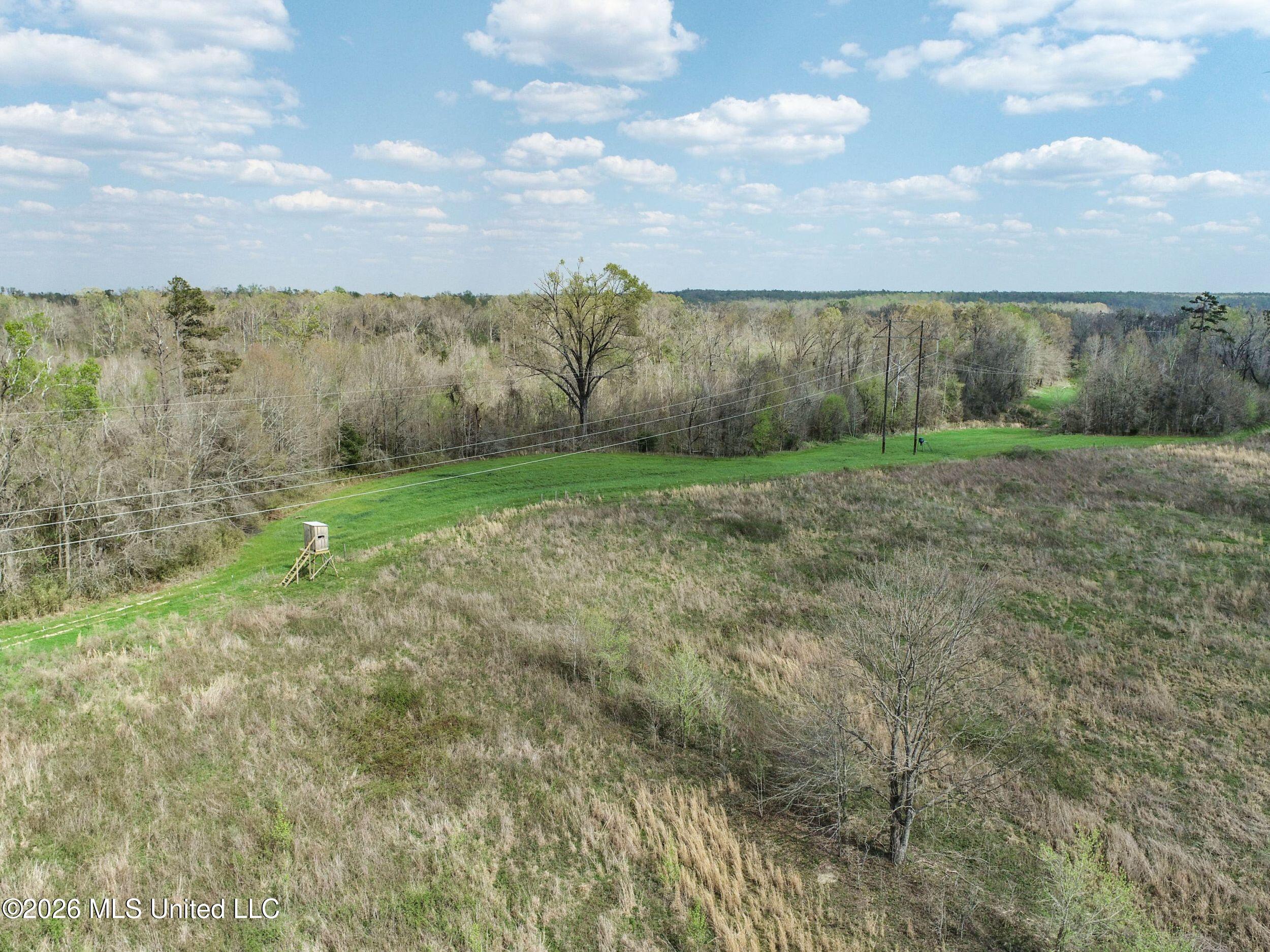Chinqupin Road Lexington, MS 39095 - Photo 86 of 210 7chqpn16