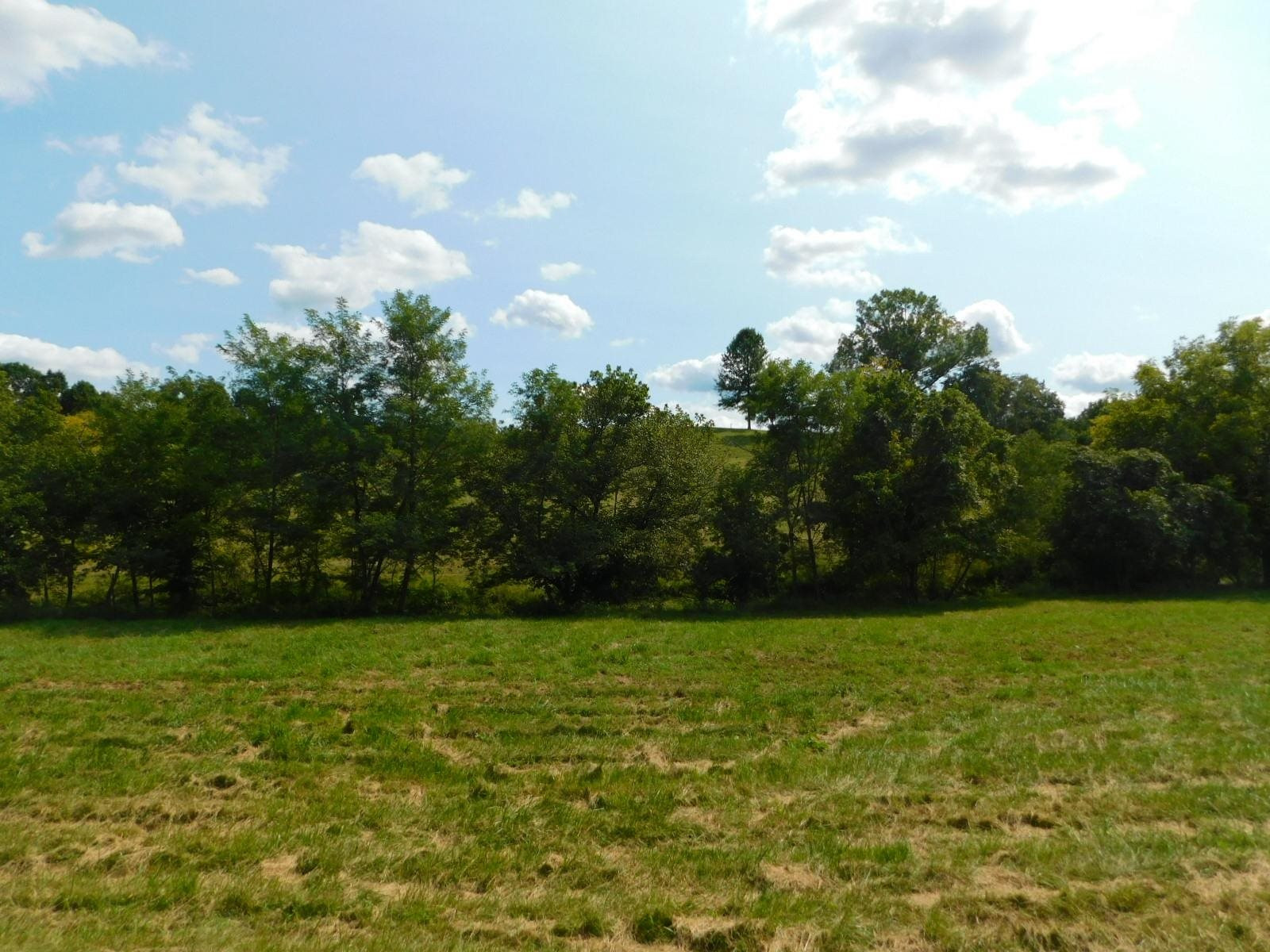 0 Scaffold Lick Creek Road Berry, KY 41003 - Photo 6 of 22 Gallery Image 6