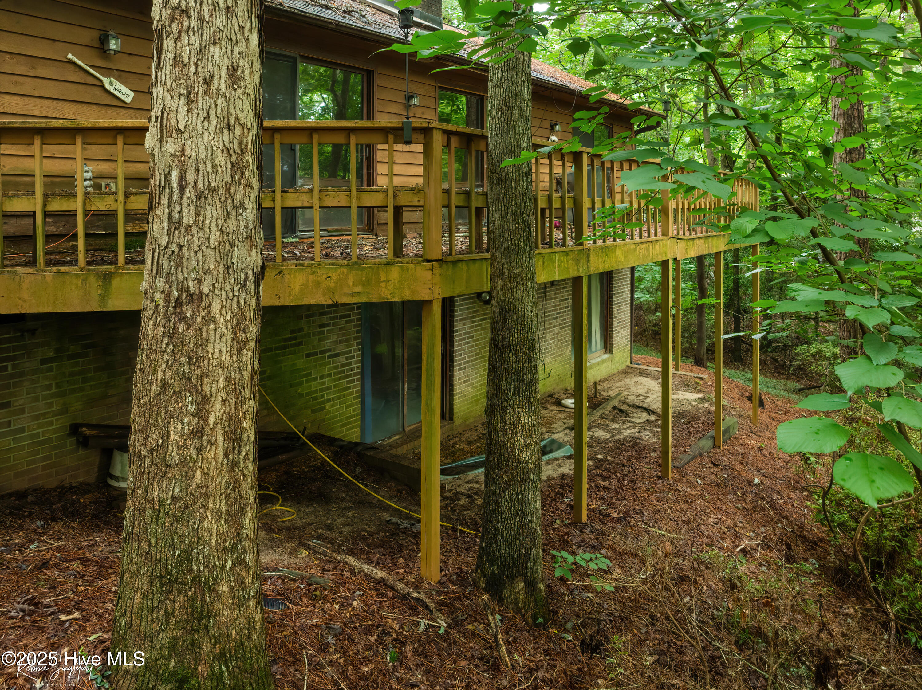 299 Rankin Lake Road Ellerbe, NC 28338 - Photo 45 of 61 RS 1 DJI_0538