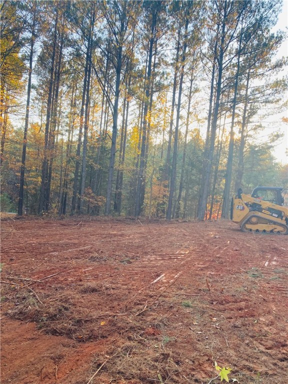 110 Gin Shoals Road Six Mile, SC 29682 - Photo 3 of 6 Gallery Image 3