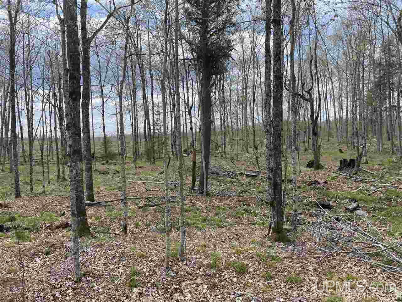 Tbd Tbd Truax Road, Unit 1 Cornell, MI 49818 - Photo 31 of 43