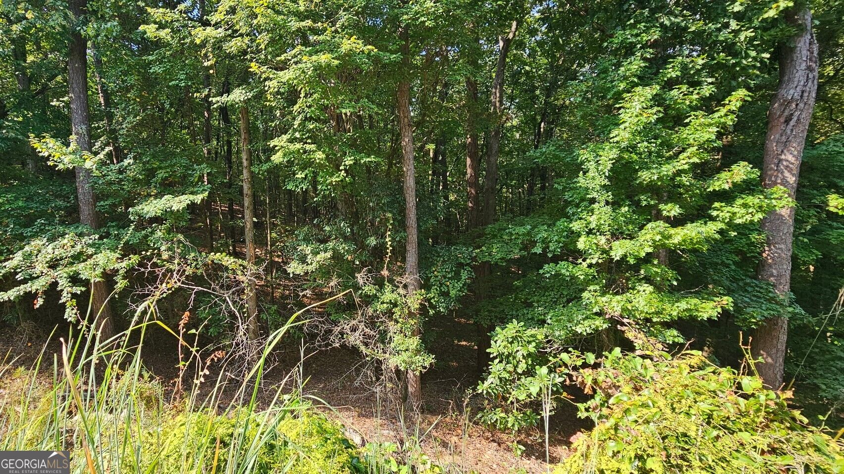1050 Smith Road Fortson, GA 31808 - Photo 12 of 12 Gallery Image 12