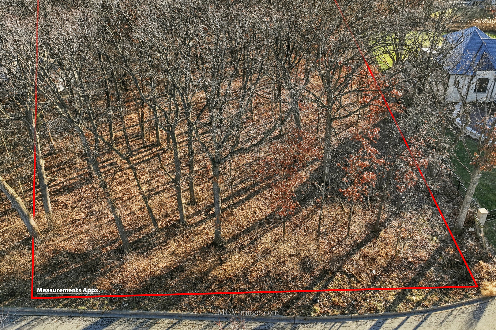 15976 132nd Street Lemont, IL 60439 - Photo 5 of 5