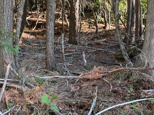 $250,000 | 922 Cottonwood Road, Priest River, ID 83856