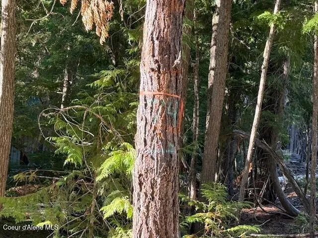 $250,000 | 922 Cottonwood Road, Priest River, ID 83856